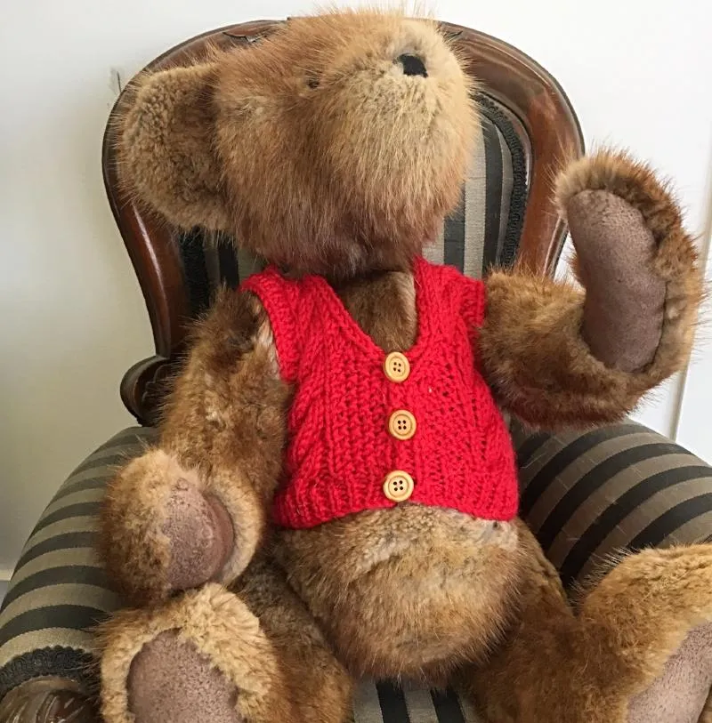 Vests for Teddy Bears
